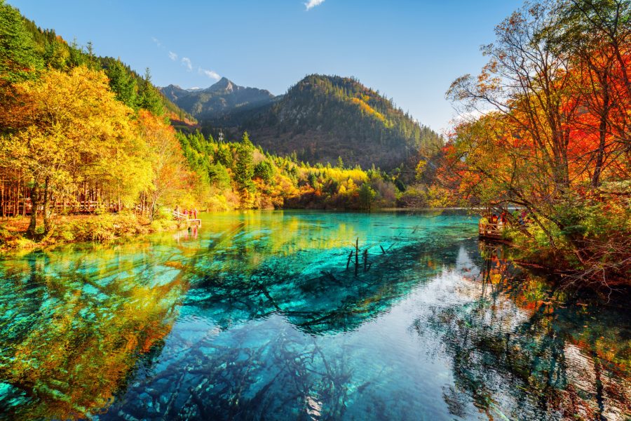 Jiuzhaigou + Leshan + Mt. Emei 8D6N