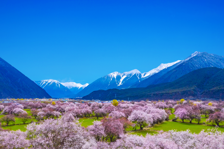 Tibet + Linzhi 10D9N