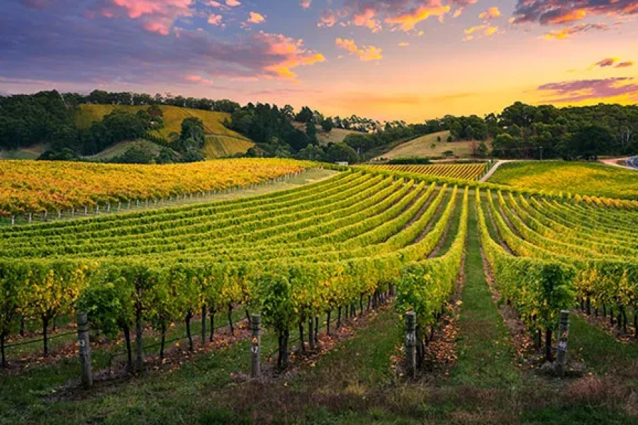 [FIT] Ultimate Adelaide & Hahndorf 5D4N