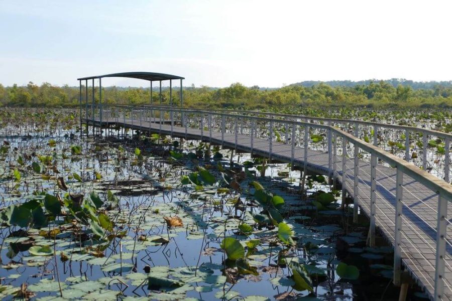 [FIT] Darwin Best 5D4N