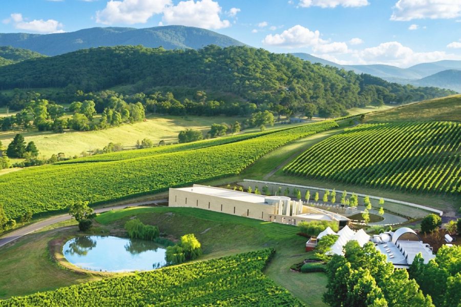 Yarra Valley Winery Full Day Tour