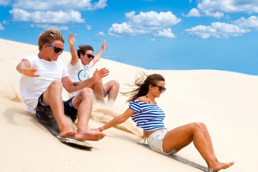 4WD Pinnacles, Koalas & Sand Boarding Adventure