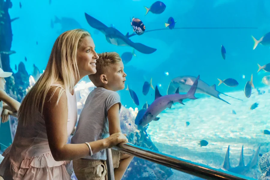 [FIT] Gold Coast Theme Park 4D3N