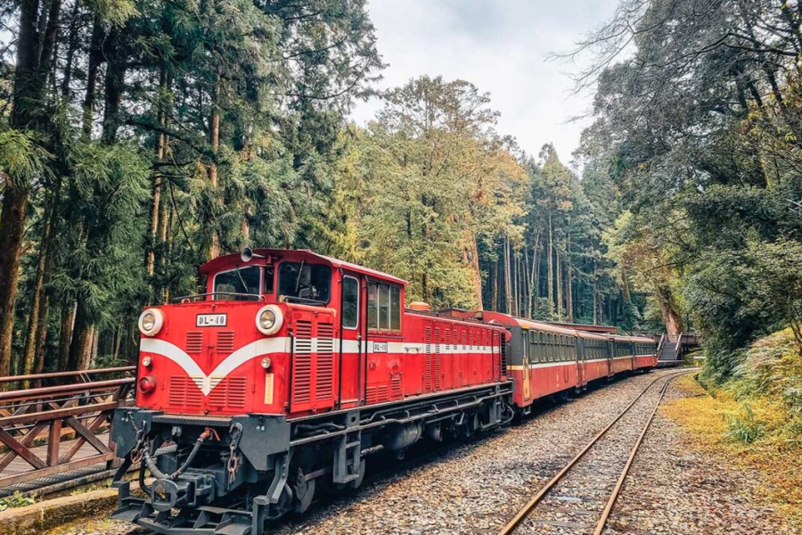 [FIT] Taiwan Alishan Package 6D5N