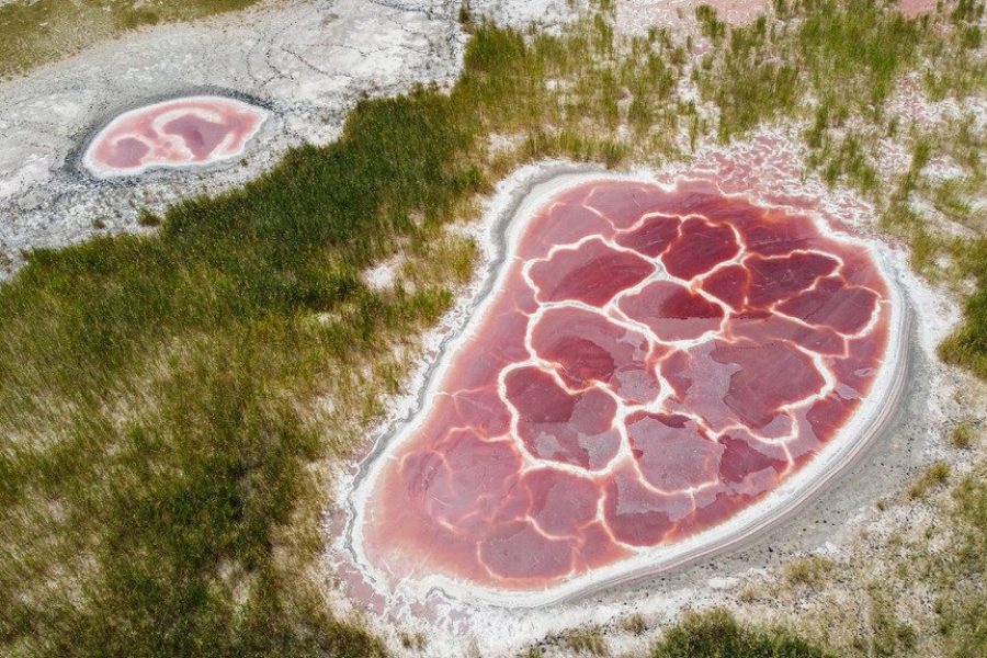 Ningxia Yinchuan 8D7N