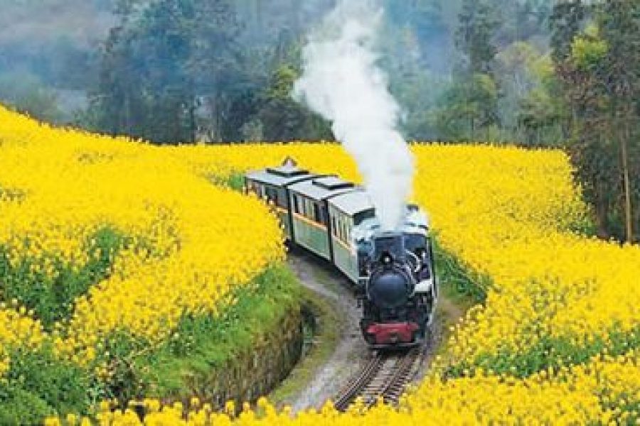 Jiuzhaigou + Chengdu Rapeseed Flower Season 8D6N