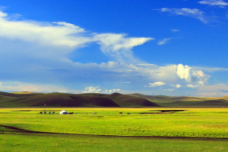 Inner Mongolia 8D6N