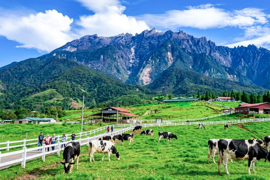 [FIT] Best of Kundasang & Kota Kinabalu 4D3N
