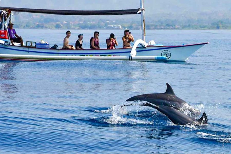 [FIT] Indonesia Bali Dolphin Full Board 4D3N (TA)