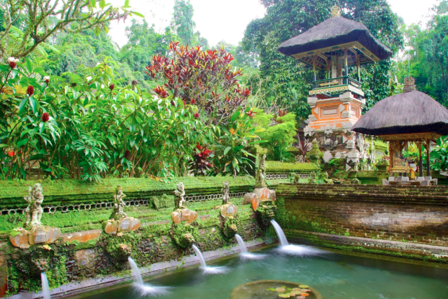 [FIT] Indonesia Bali + Nusa Penida 5D4N (TA)